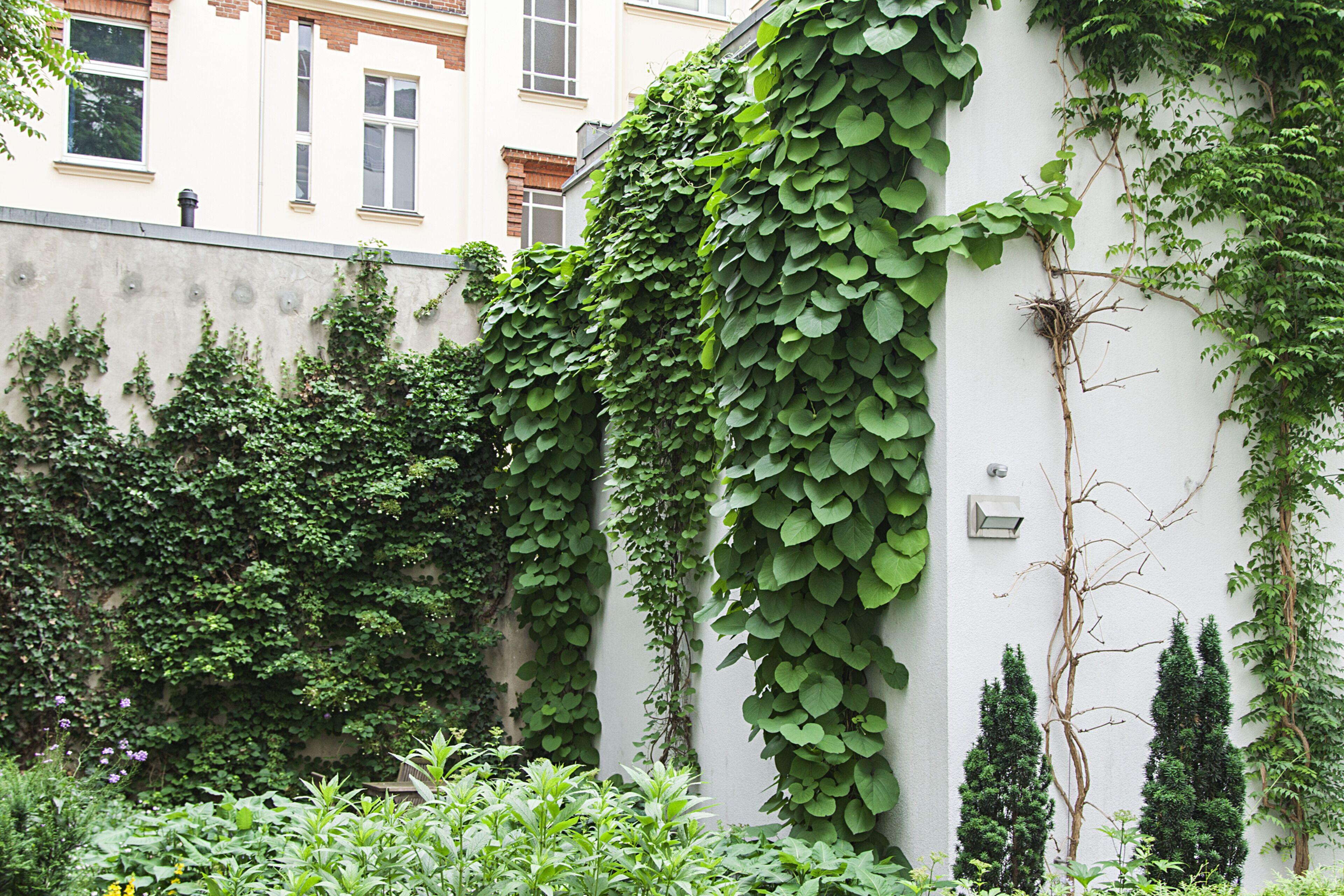 Quentin Design Hotel Berlin, Berlin